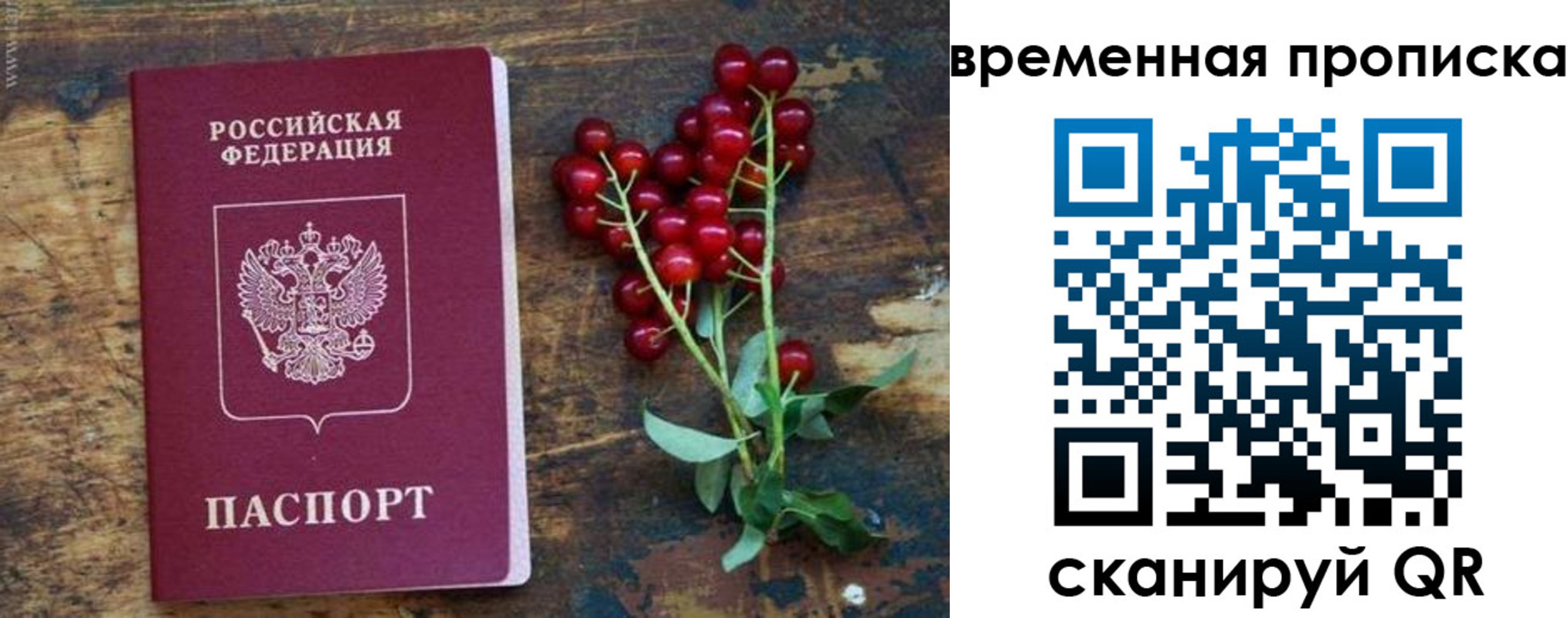 временная регистрация гарантия в Саратове